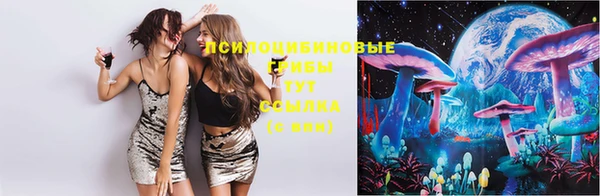 PSILOCYBIN Верхний Тагил