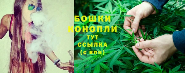 спиды Верея