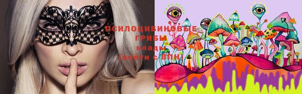 PSILOCYBIN Верхний Тагил