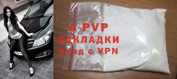 спиды Верея