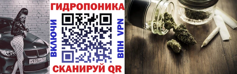 купить наркотики цена  Донецк  OMG зеркало  Каннабис AK-47 
